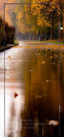 Фото «Дверь с фотопечатью №5» в Пущино